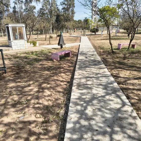 Galería imagen 24